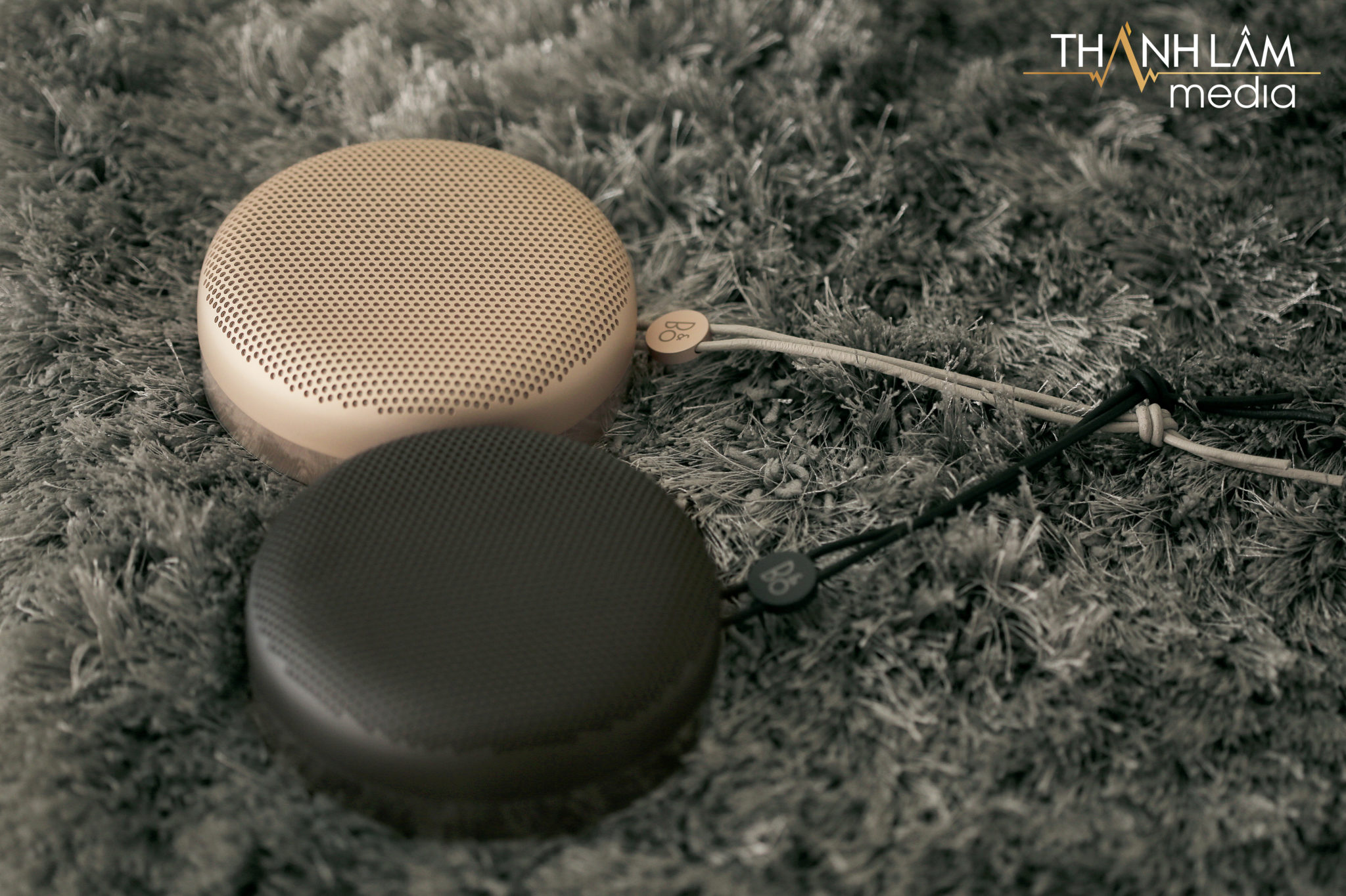 Loa Bang Olufsen A1 1