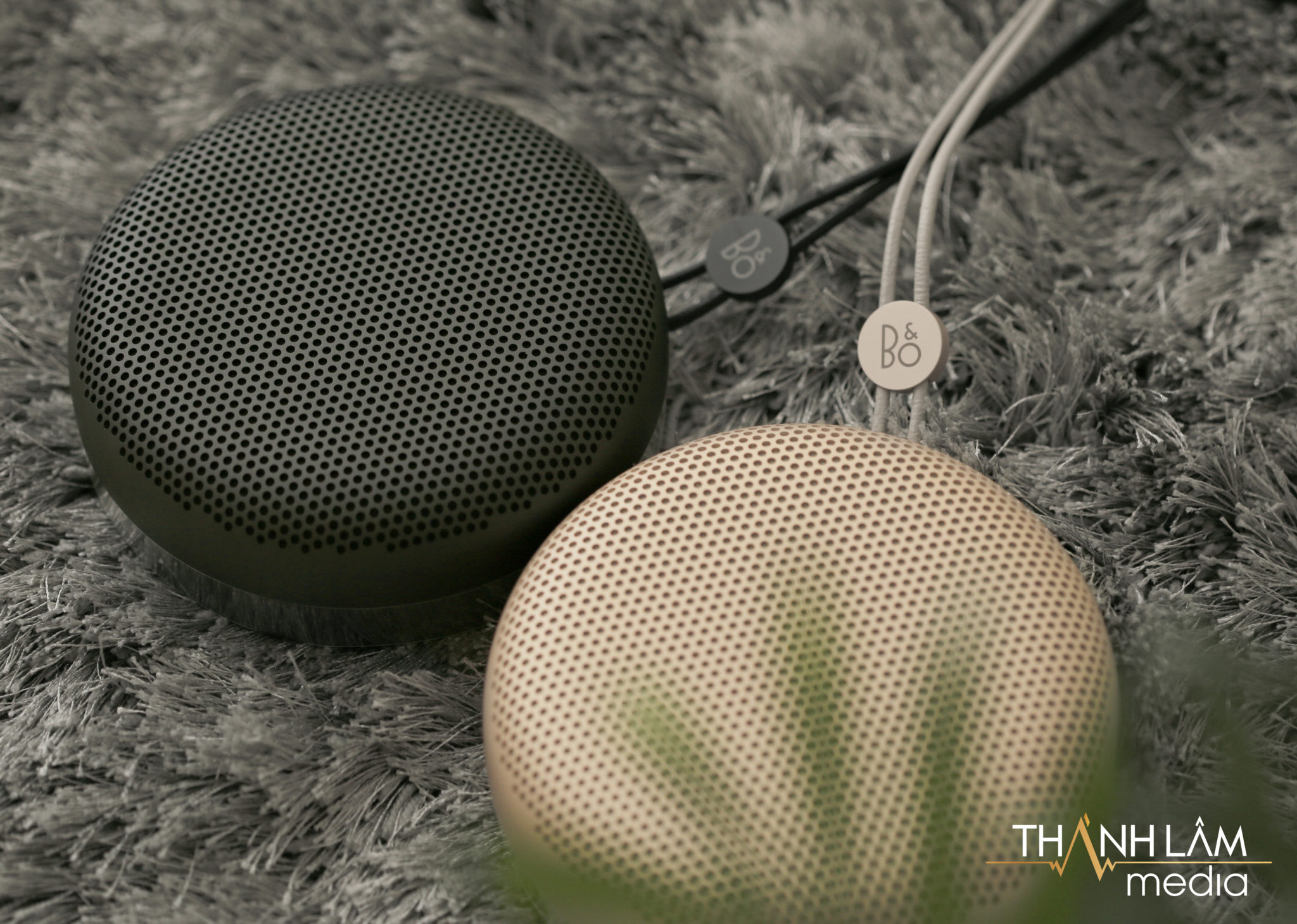 Loa Bang Olufsen A1 1