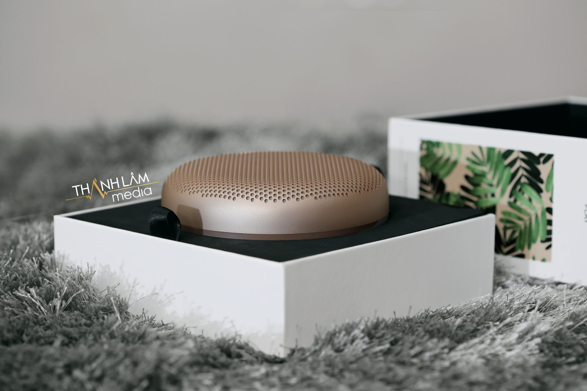 Loa Bang Olufsen A1 1