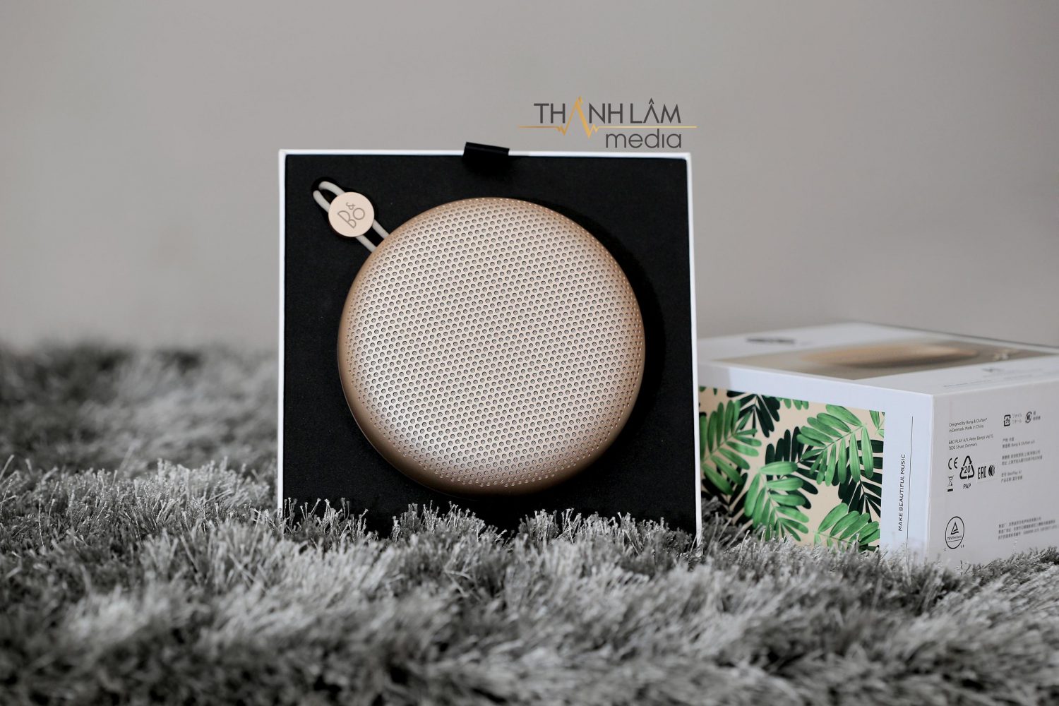 Loa Bang Olufsen A1