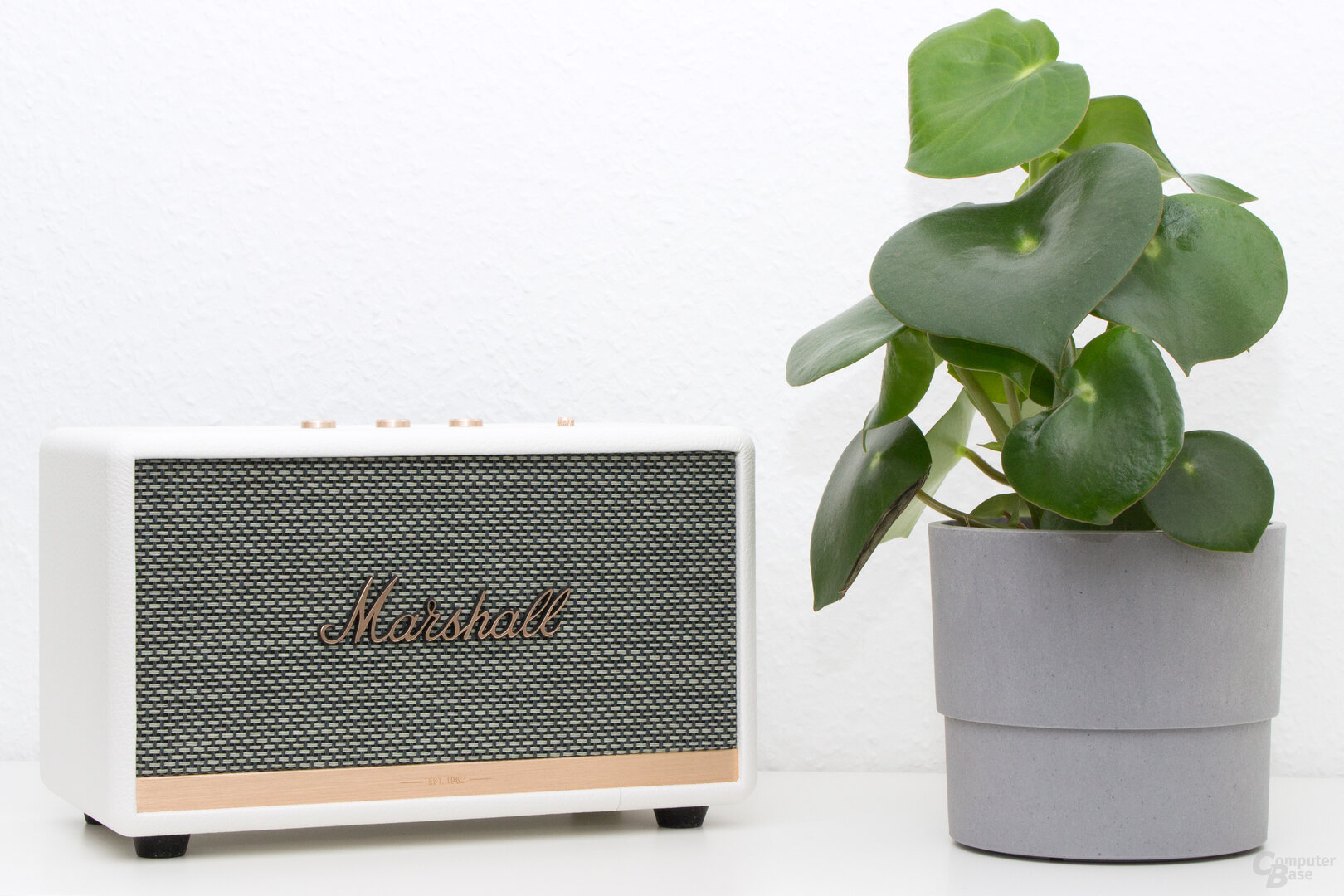Loa Marshall Acton II Loa Marshall Acton II