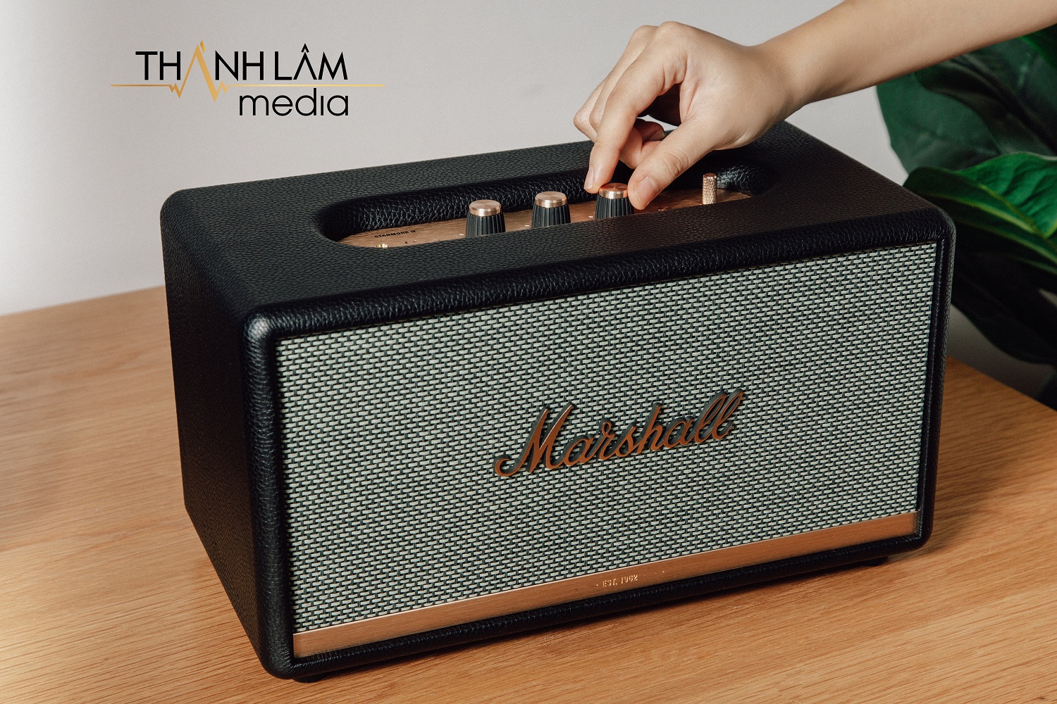 Loa Marshall Stanmore 2 Loa Marshall Stanmore 2