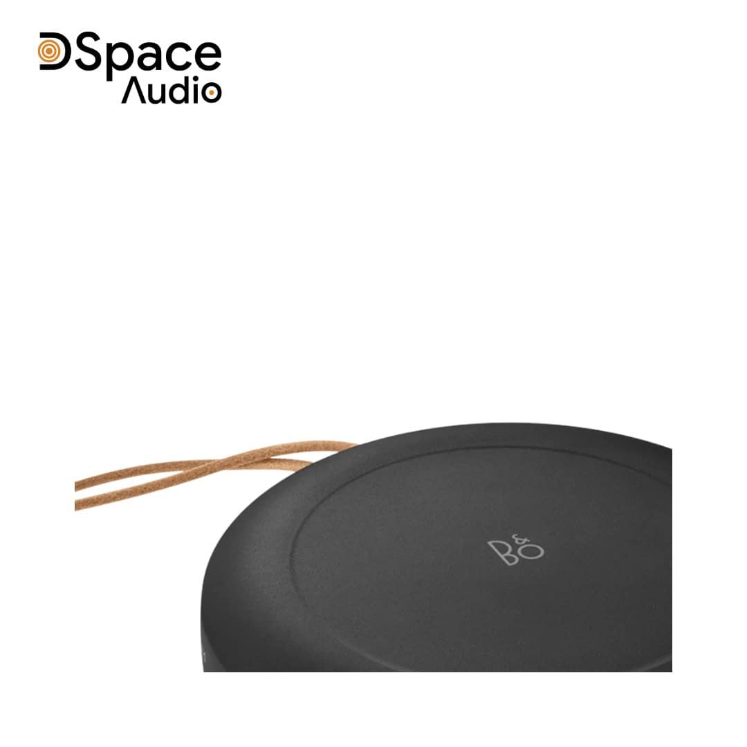 Loa Bang & Olufsen Beosound A1 Gen 2 - Ảnh 4