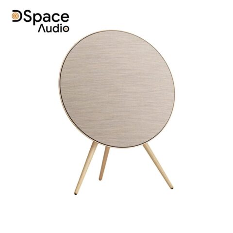 Bang & Olufsen Beosound A9 MK5