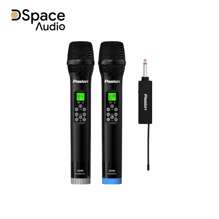 Micro PASION ECHO Không Dây Tích Hợp