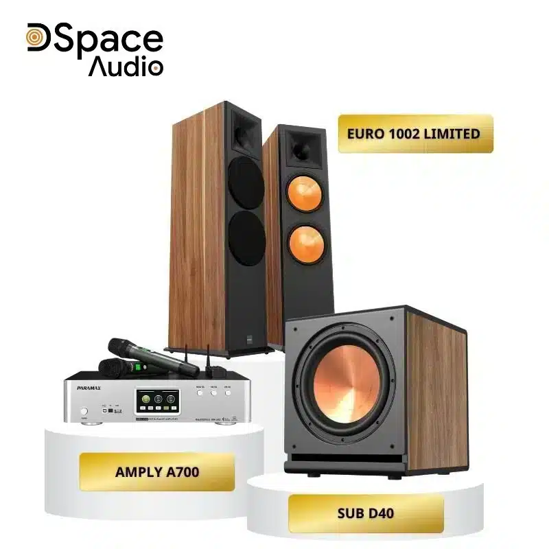 Combo KR1002S: Euro 1002 + Amply A700 + Sub D40 - Ảnh 2
