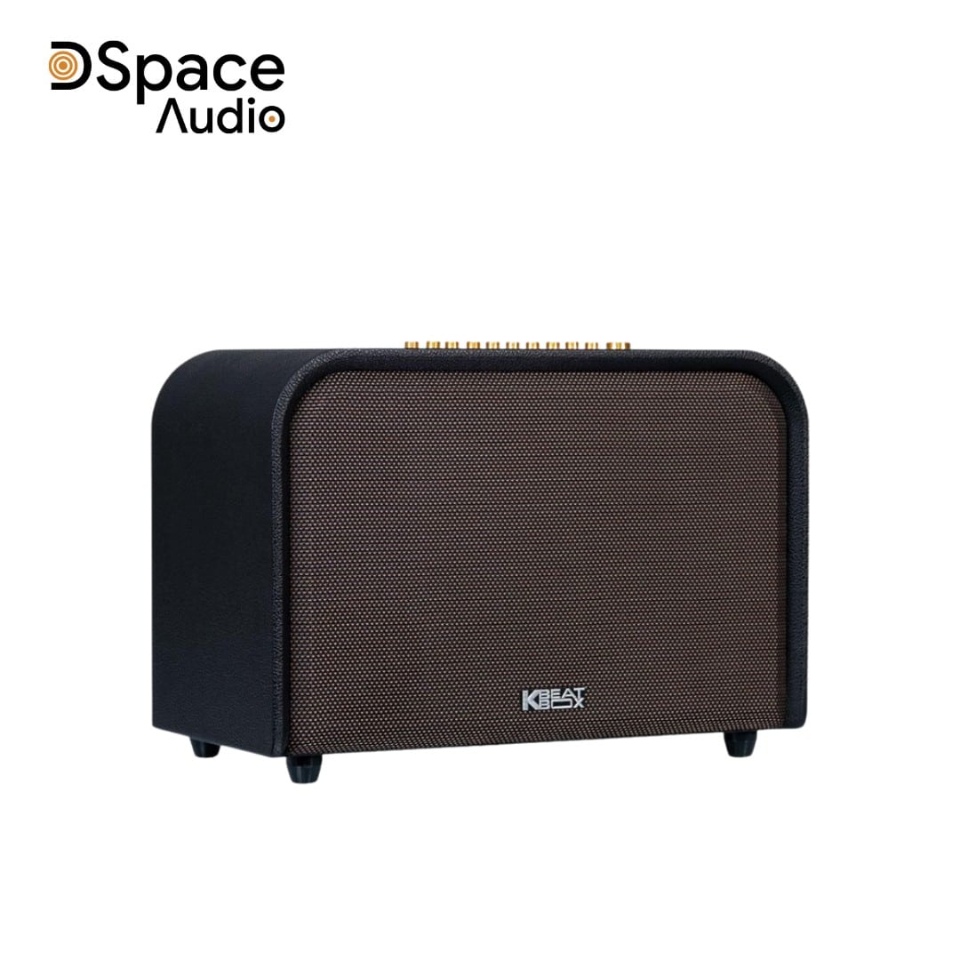 Loa Karaoke Acnos Acoustic 3 - Ảnh 11