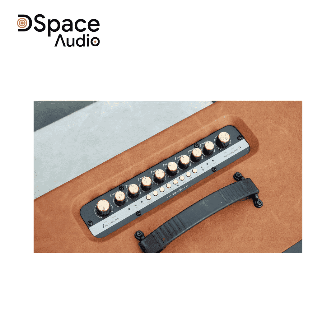 Loa Paramax Saga chính hãng 2025, Bass 20cm, 300W, Kèm 2 Micro - Ảnh 11