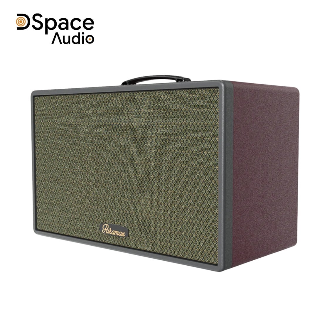 Loa Paramax Saga chính hãng 2025, Bass 20cm, 300W, Kèm 2 Micro - Ảnh 7