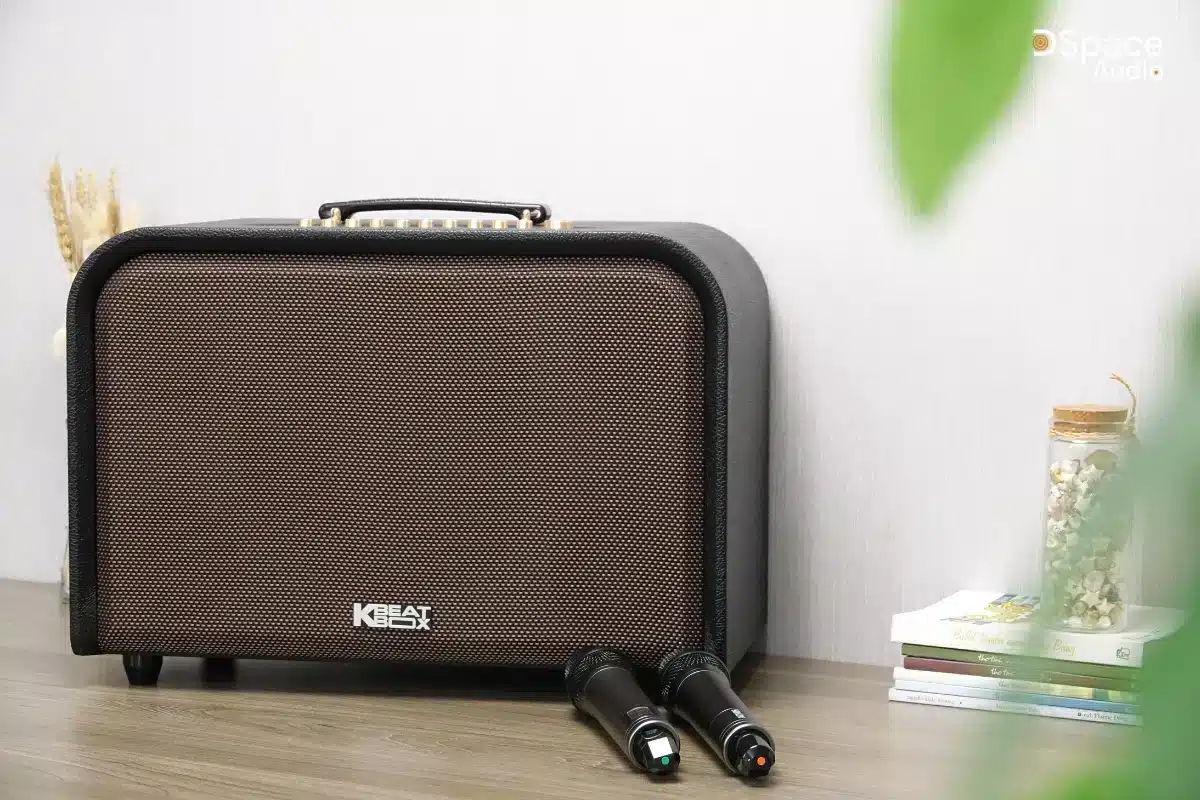Acnos Harmony màu màu đen cổ điển (2)