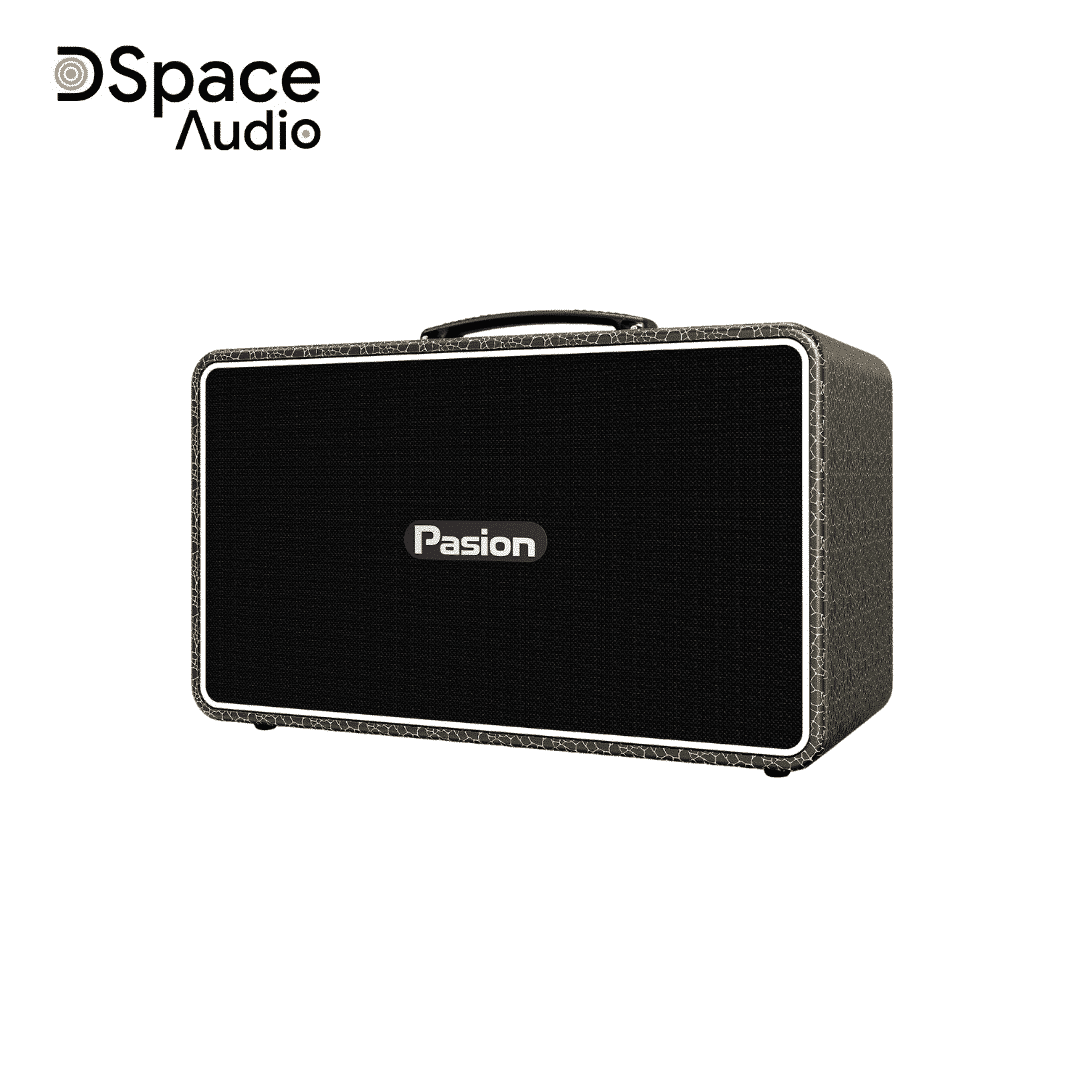 Loa karaoke di động PASION Arte - Ảnh 17