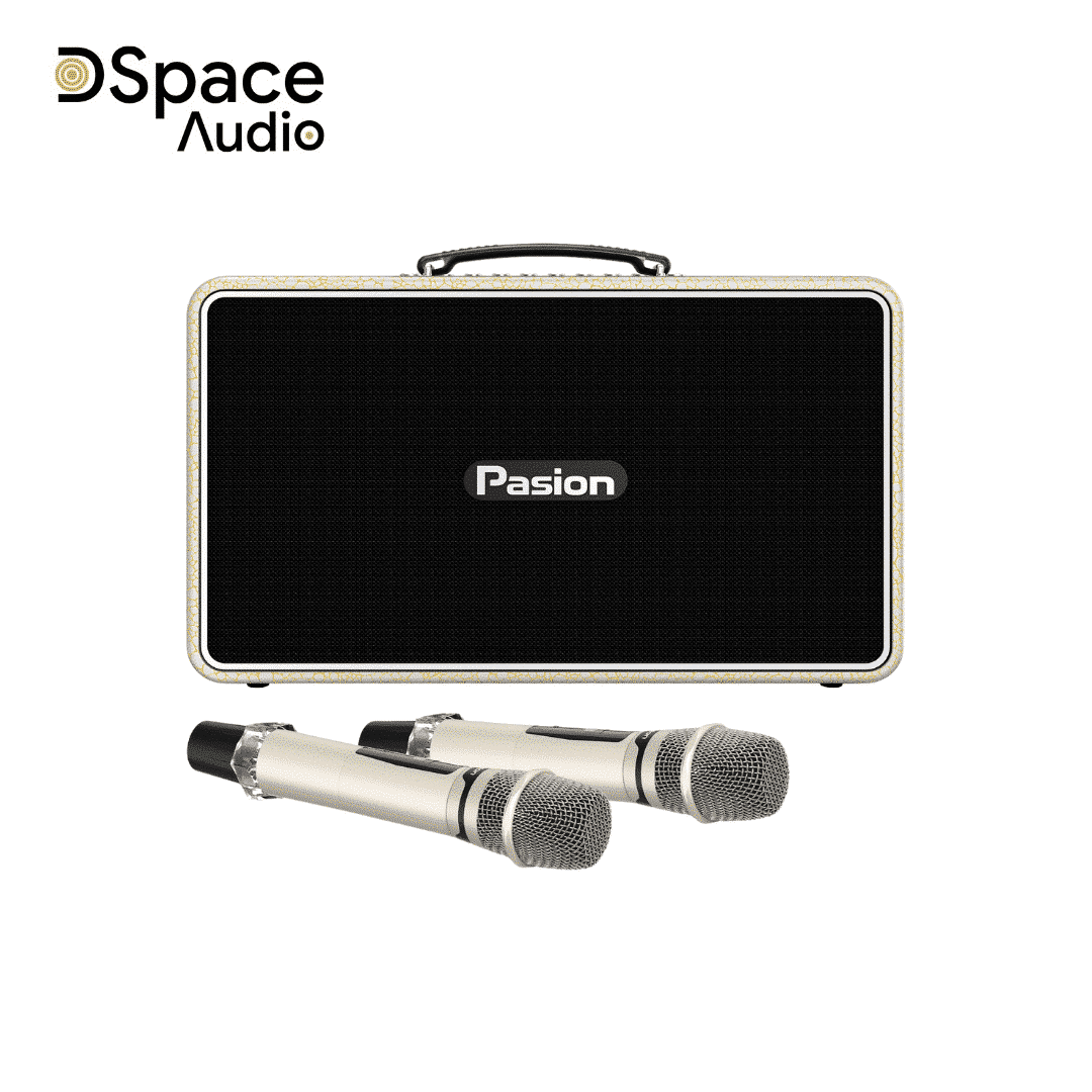 Loa karaoke di động PASION Arte - Ảnh 16