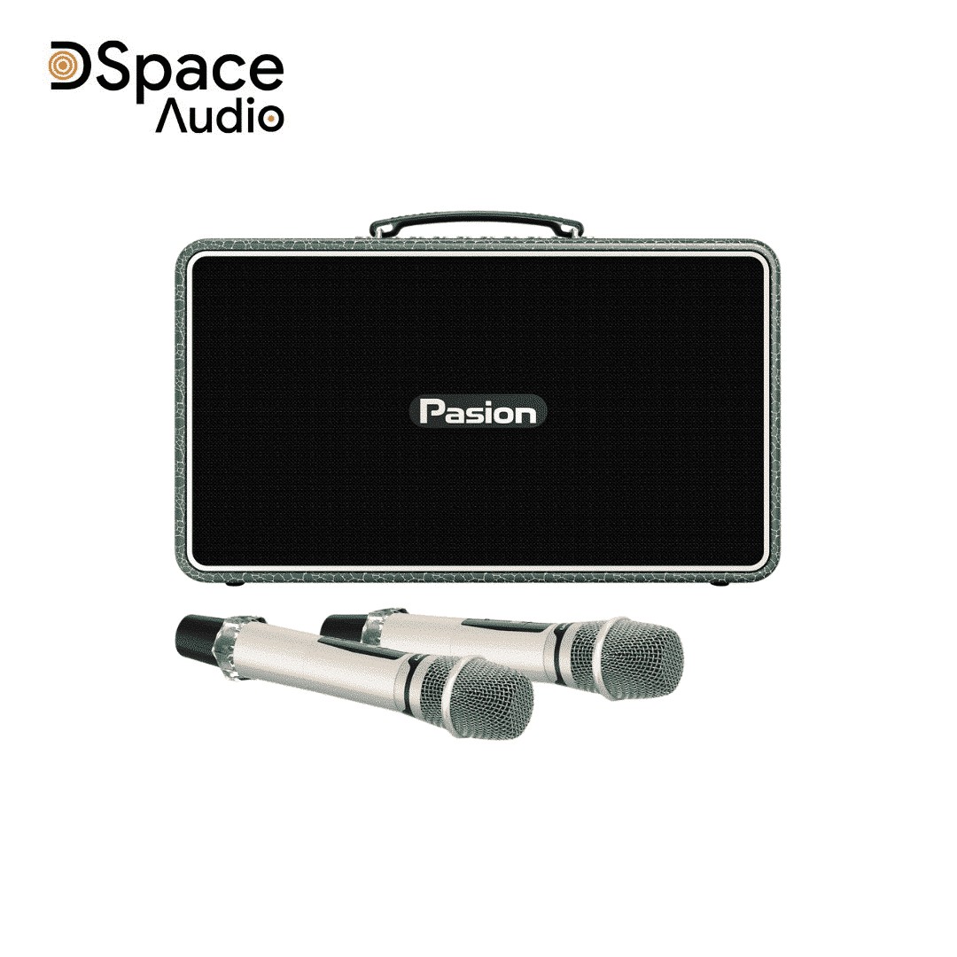 Loa karaoke di động PASION Arte - Ảnh 11