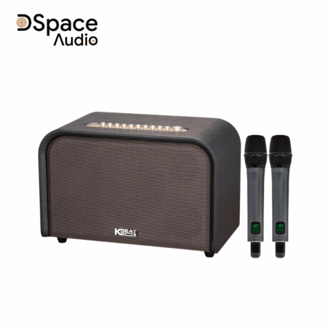 Loa karaoke Acnos Acoustic 3 Compact