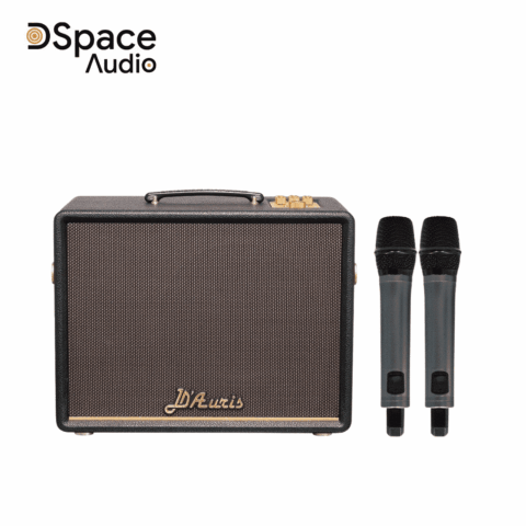 Loa karaoke di động ACNOS D’Auris 200