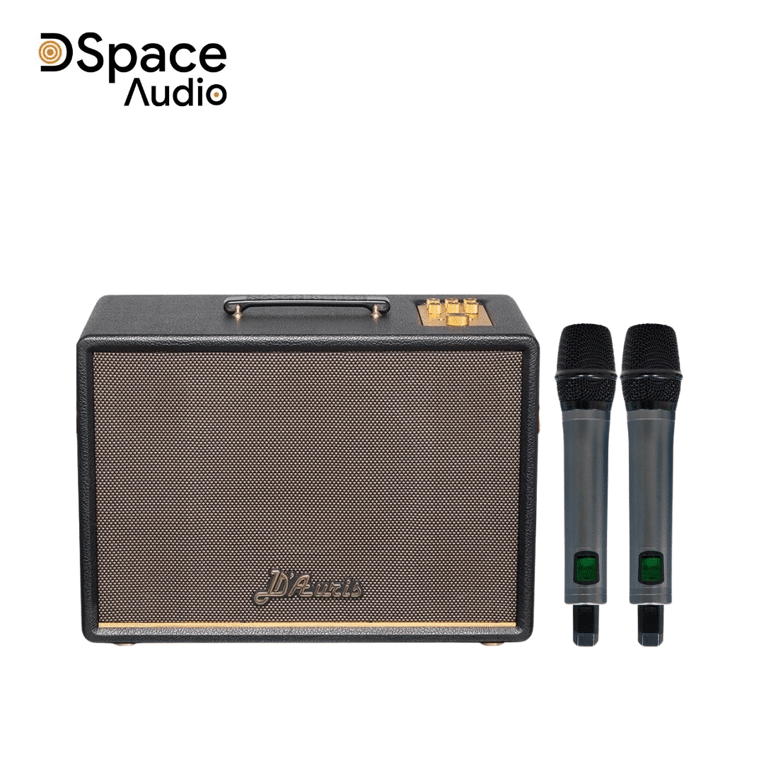 Loa karaoke di động SONCAMEDIA D’Auris 300