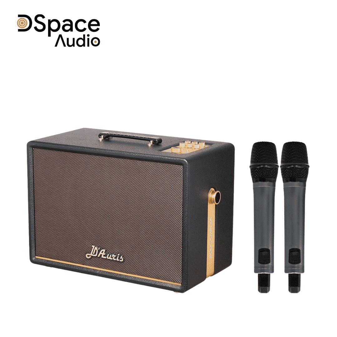 Loa karaoke di động SONCAMEDIA D’Auris 300 - Ảnh 2