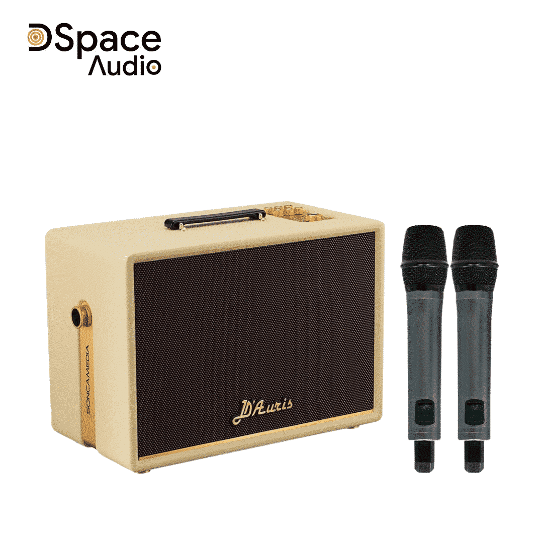 Loa karaoke di động SONCAMEDIA D’Auris 300 - Ảnh 6