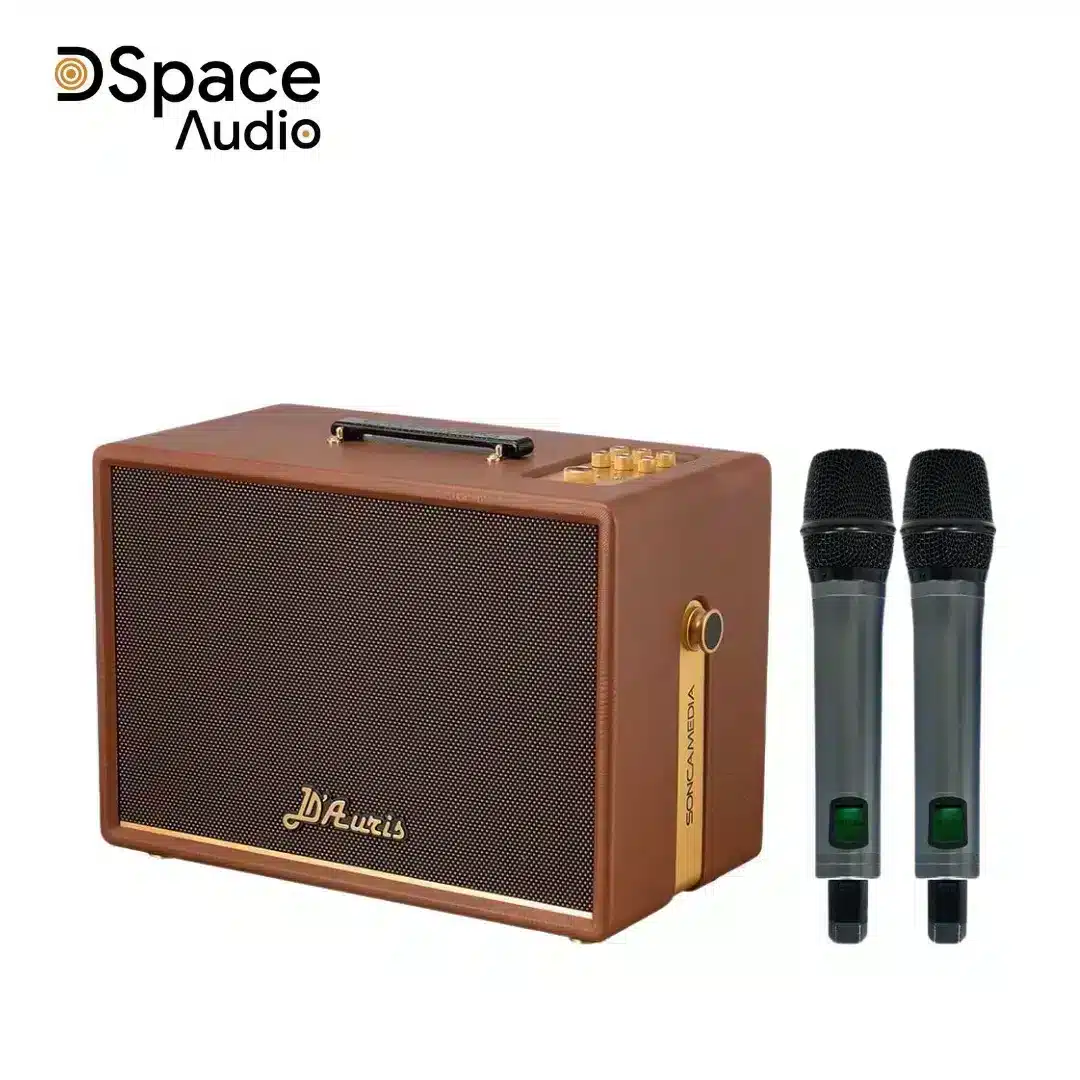 Loa karaoke di động SONCAMEDIA D’Auris 300 - Ảnh 11