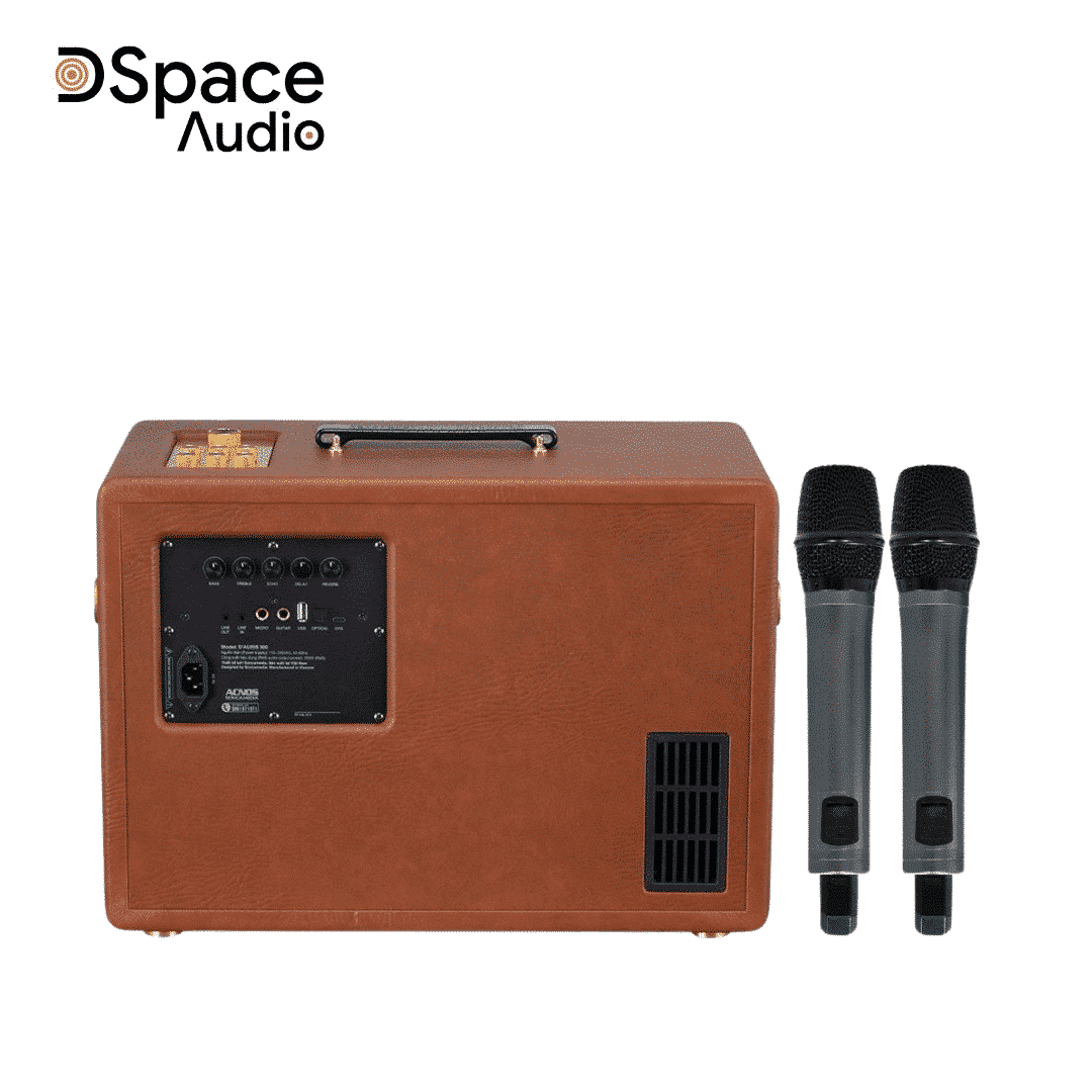 Loa karaoke di động SONCAMEDIA D’Auris 300 - Ảnh 9