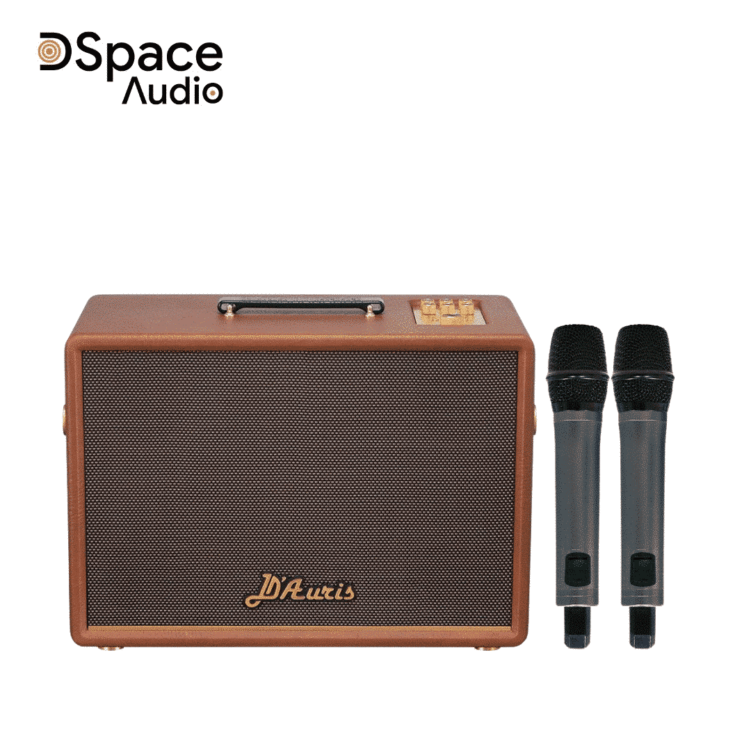 Loa karaoke di động SONCAMEDIA D’Auris 300 - Ảnh 10
