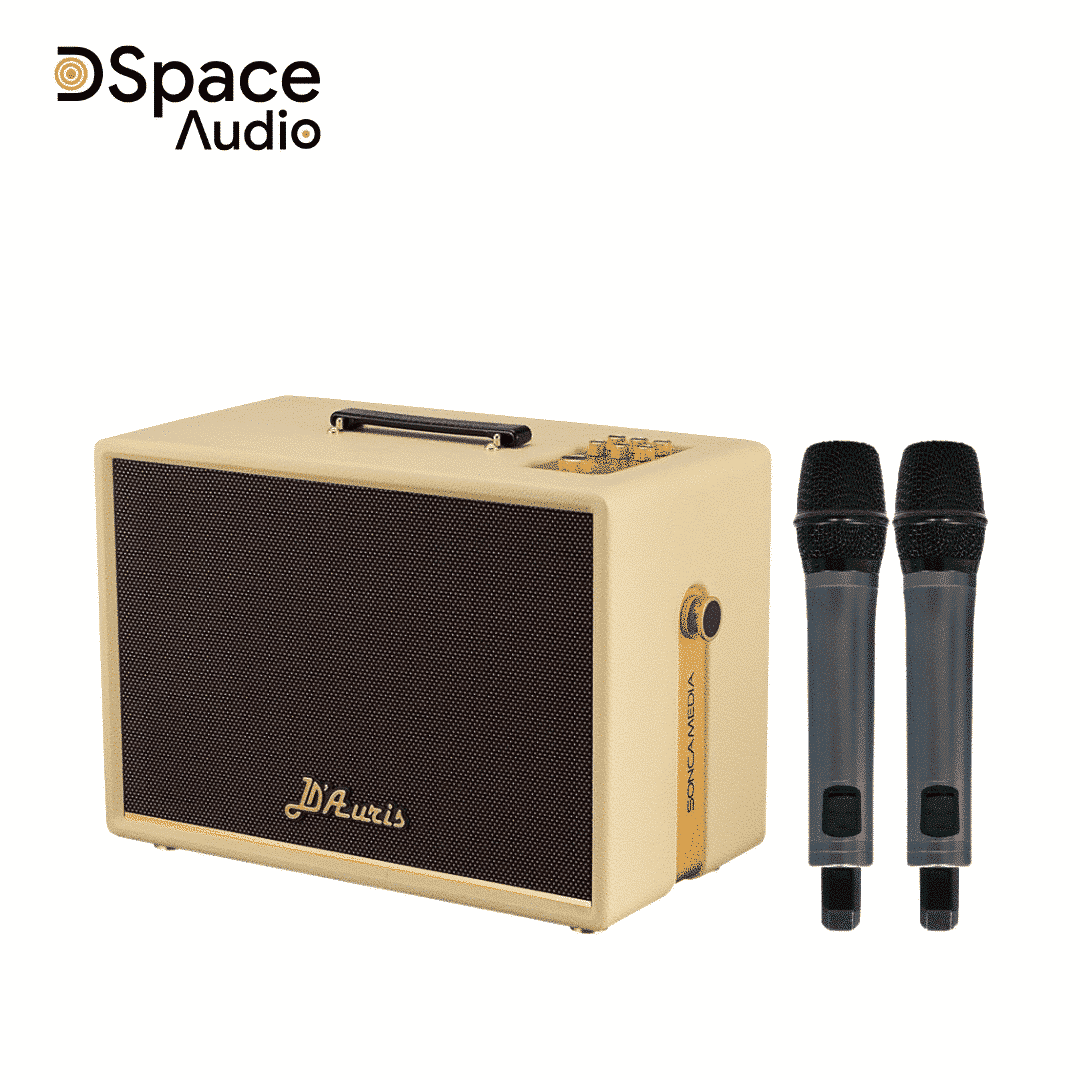 Loa karaoke di động SONCAMEDIA D’Auris 300 - Ảnh 5
