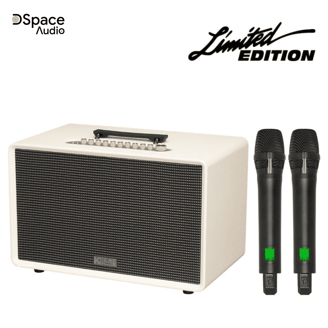 Loa karaoke di động SONCAMEDIA Flac 39 - Ảnh 15
