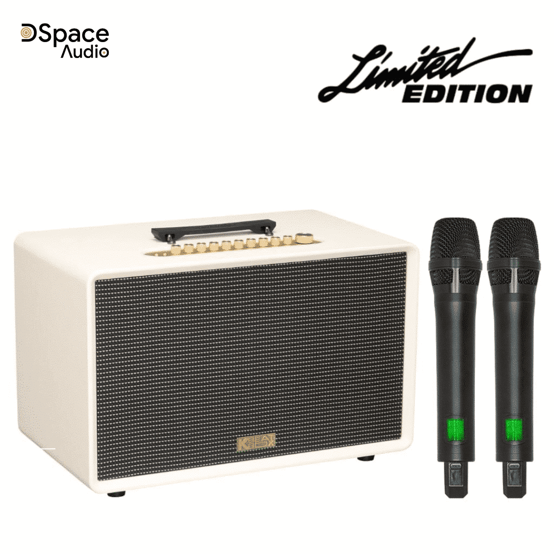 Loa karaoke di động SONCAMEDIA Flac 39 - Ảnh 13