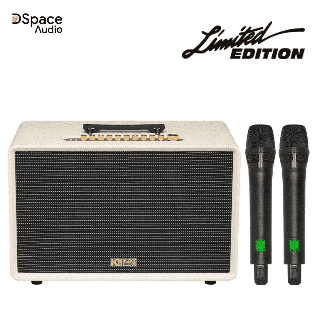 Loa karaoke di động SONCAMEDIA Flac 39 - Ảnh 14