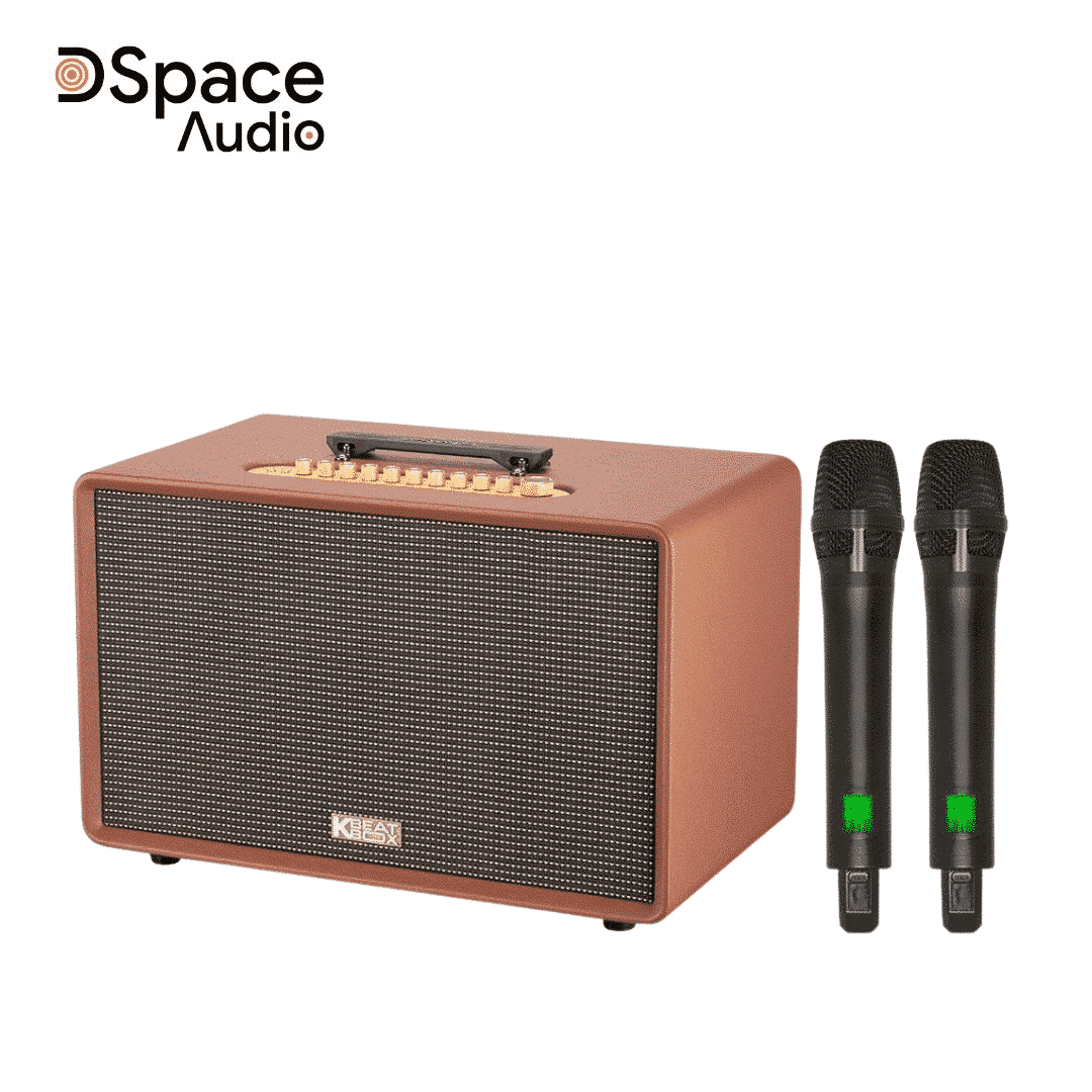 Loa karaoke di động SONCAMEDIA Flac 39 - Ảnh 2