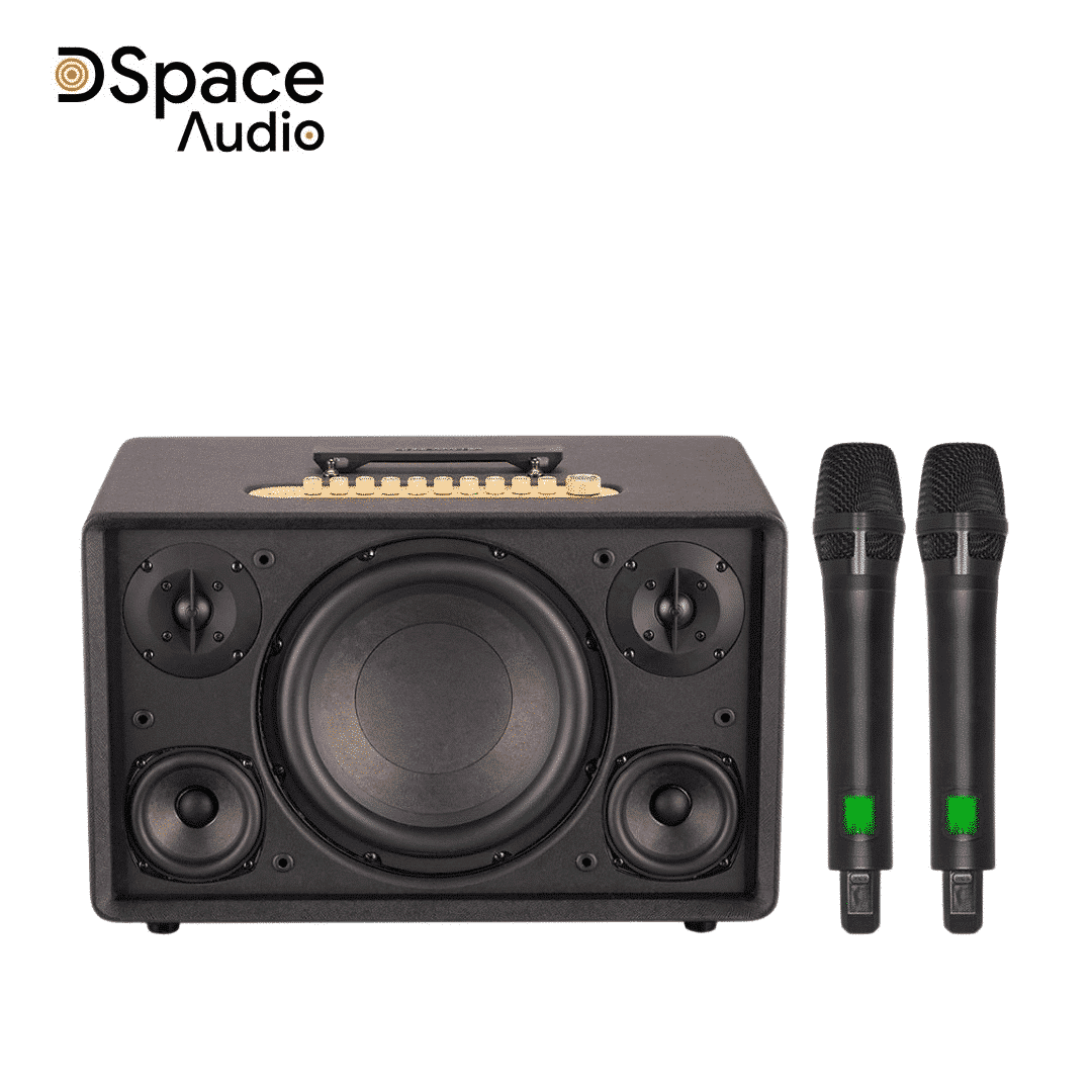Loa karaoke di động SONCAMEDIA Flac 39 - Ảnh 11