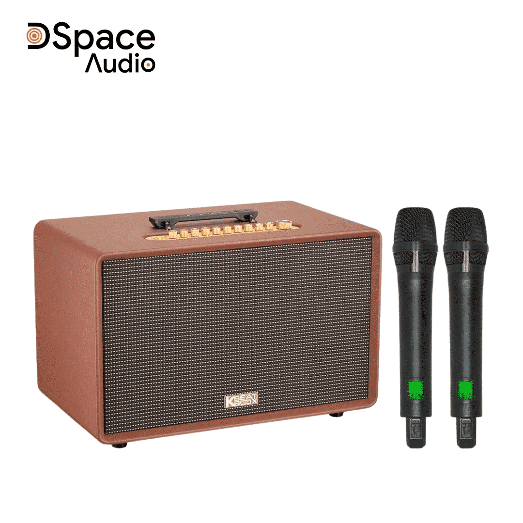 Loa karaoke di động SONCAMEDIA Flac 39 - Ảnh 3