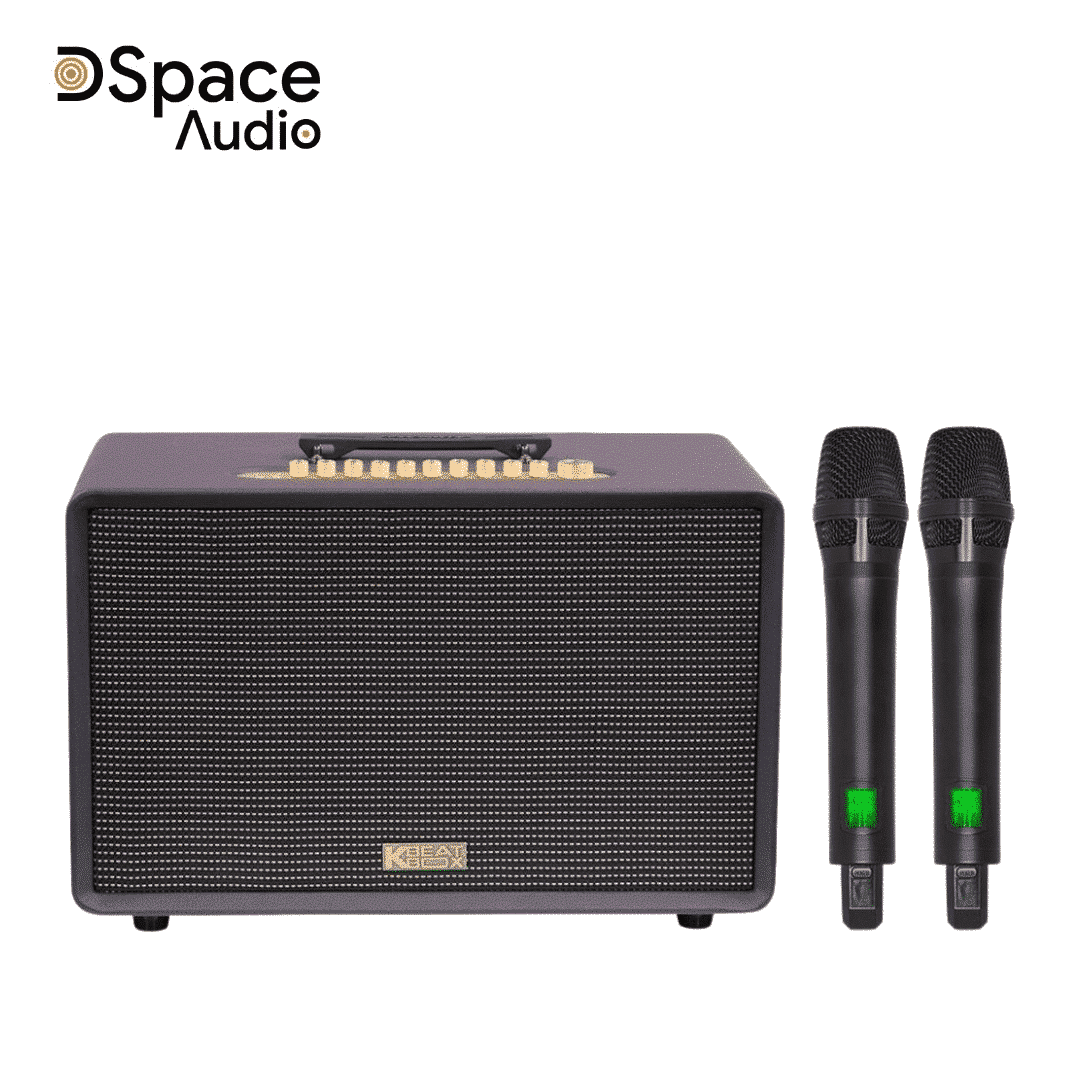 Loa karaoke di động SONCAMEDIA Flac 39 - Ảnh 4