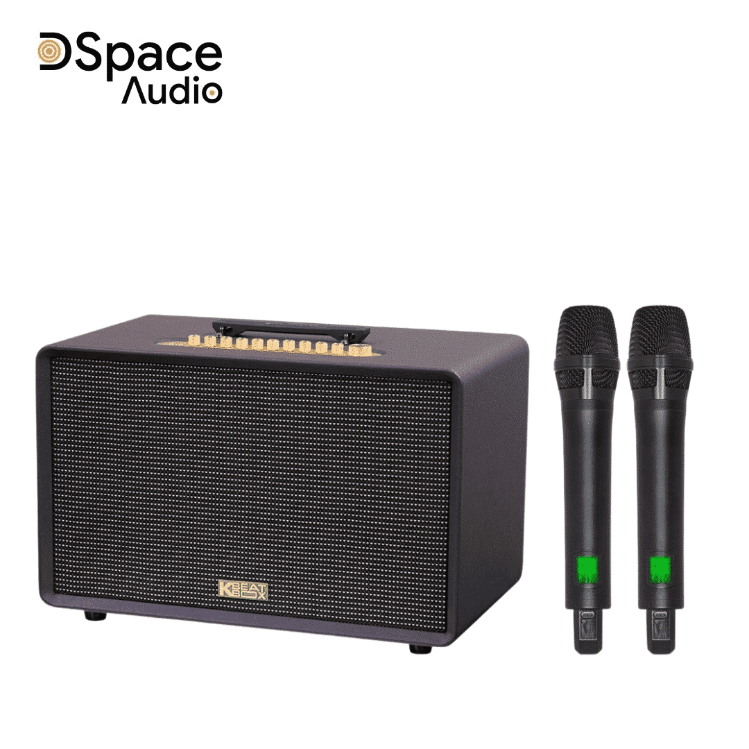 Loa karaoke di động SONCAMEDIA Flac 39 - Ảnh 5