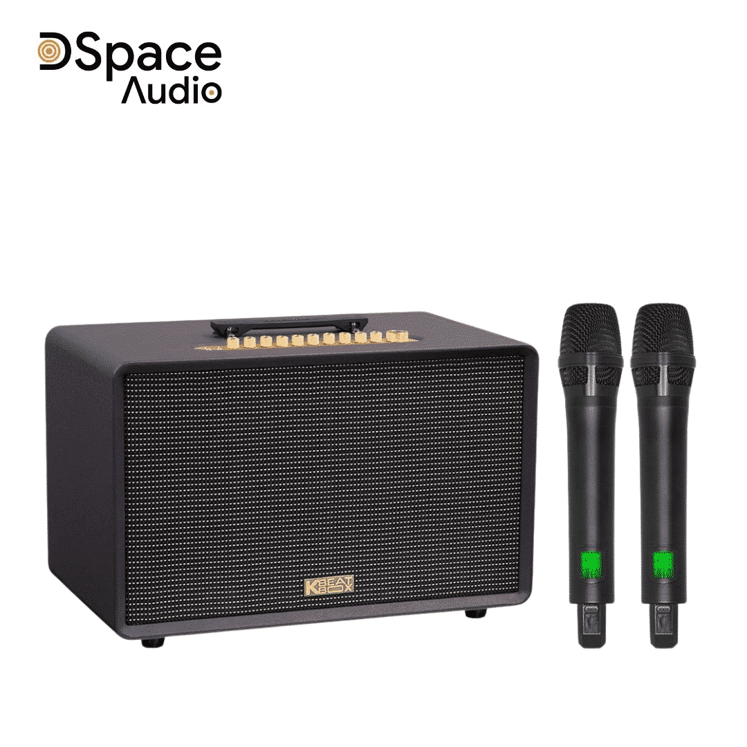 Loa karaoke di động SONCAMEDIA Flac 39 - Ảnh 6