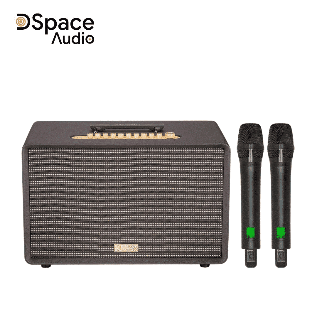 Loa karaoke di động SONCAMEDIA Flac 39 - Ảnh 7