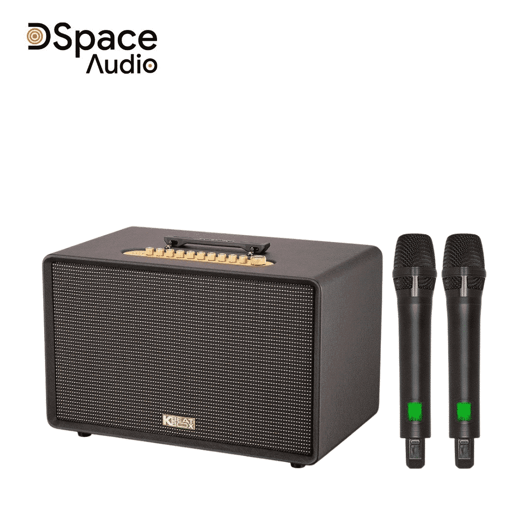 Loa karaoke di động SONCAMEDIA Flac 39 - Ảnh 8