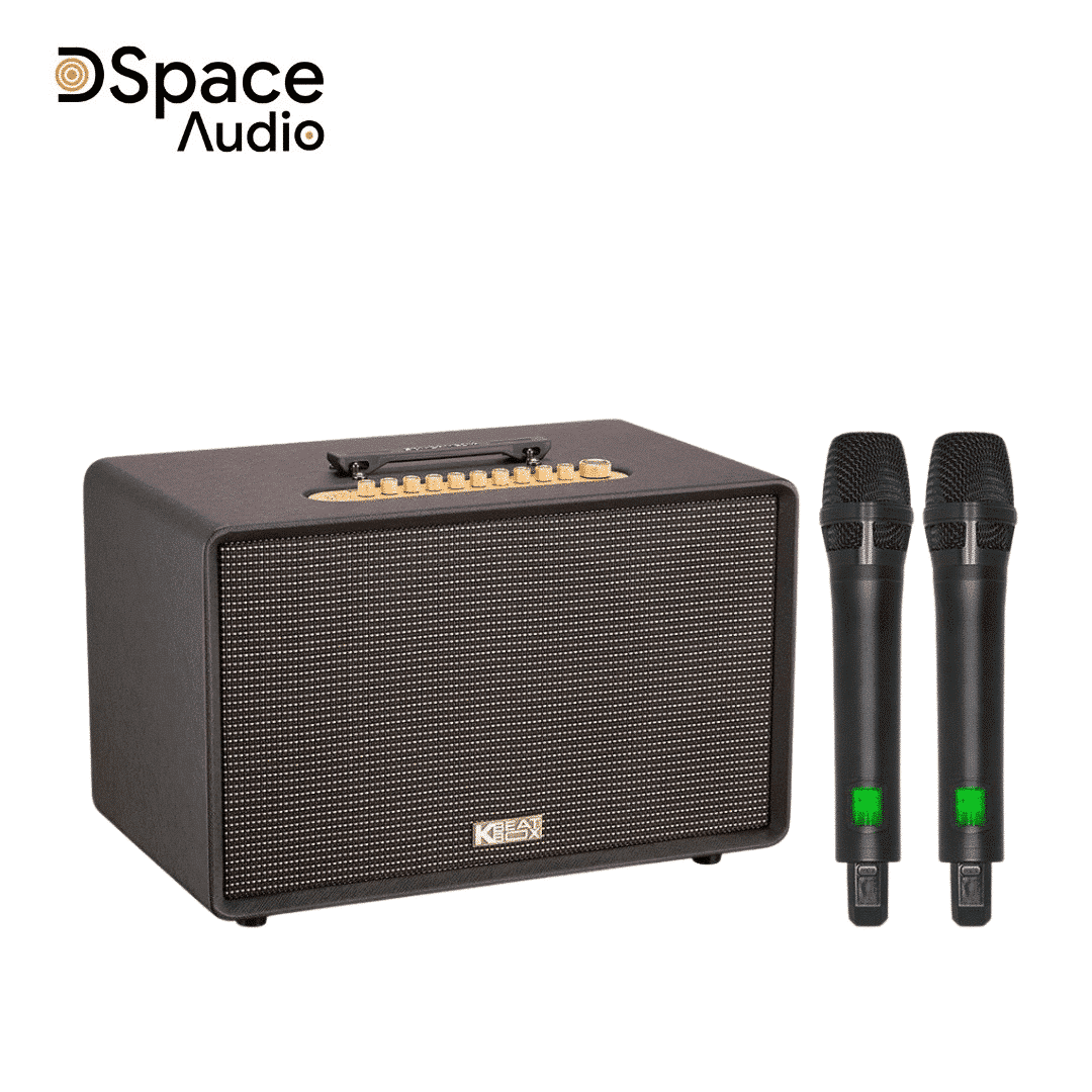 Loa karaoke di động SONCAMEDIA Flac 39 - Ảnh 9
