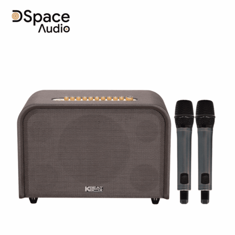 Loa karaoke di động Acnos Acoustic 3 V26