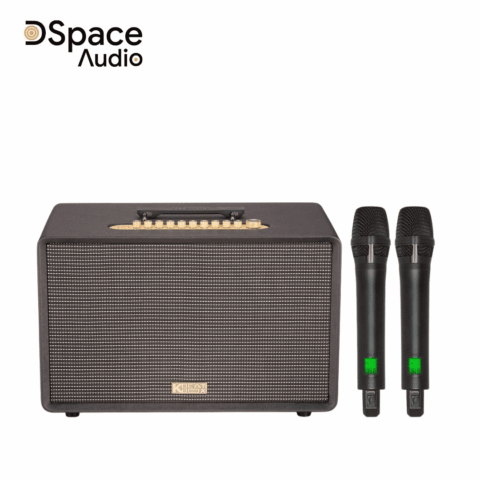 Loa karaoke di động ACNOS FLAC 36 ULTIMATE