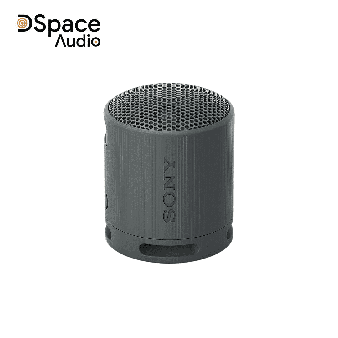 Loa Sony SRS-XB100 - Ảnh 2