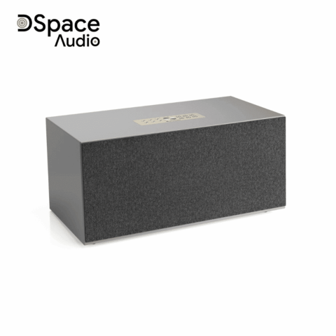 Loa Audio Pro C20