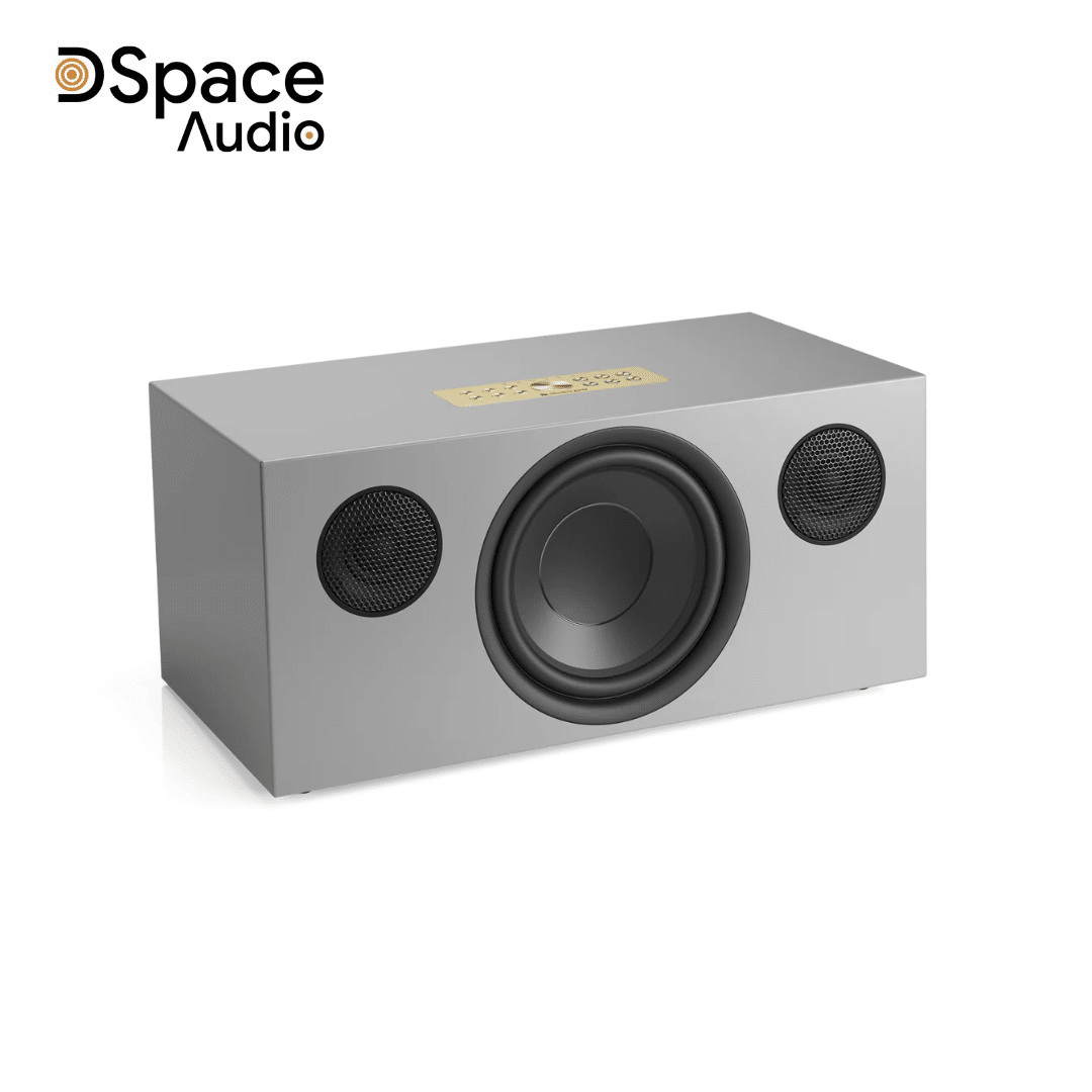 Loa Audio Pro C20 - Ảnh 11
