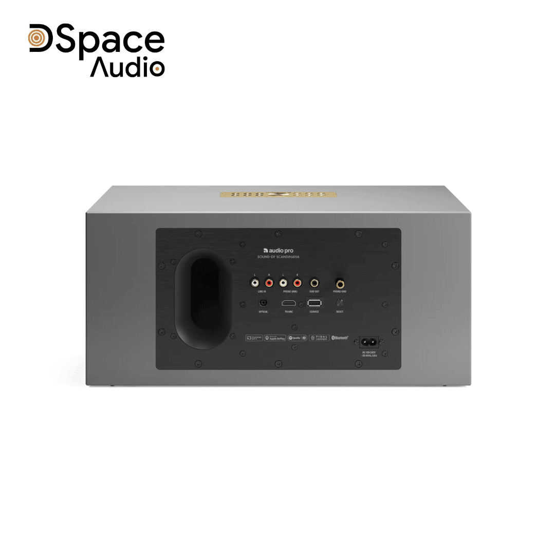 Loa Audio Pro C20 - Ảnh 12