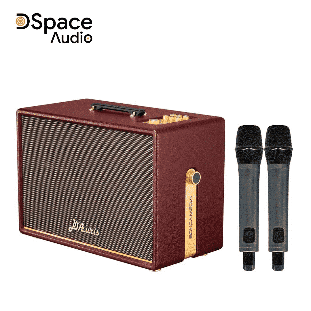 Loa Karaoke di động Acnos DAuris 500 - Ảnh 3
