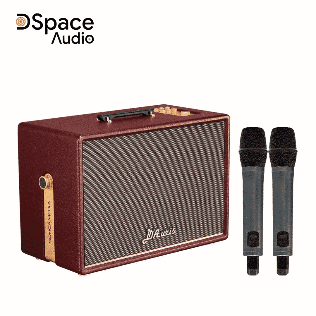 Loa Karaoke di động Acnos DAuris 500 - Ảnh 2