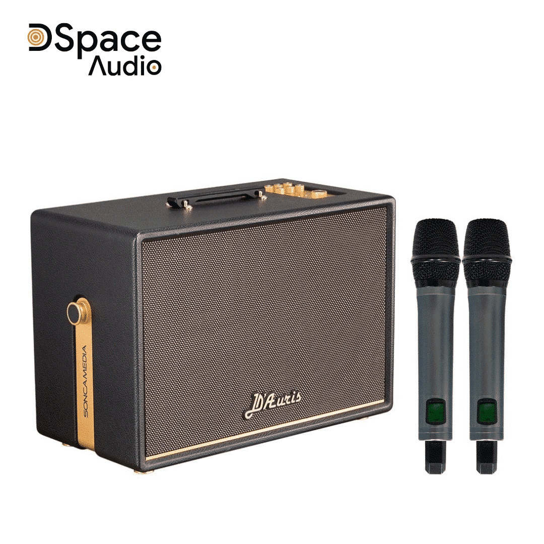 Loa Karaoke di động Acnos DAuris 500 - Ảnh 5