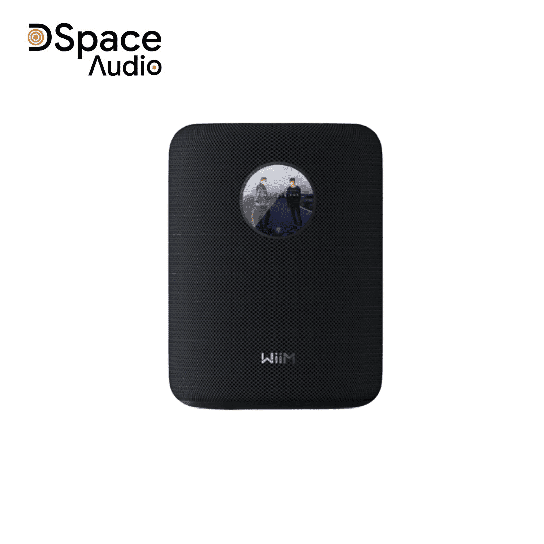 Loa WiiM Sound - Ảnh 3