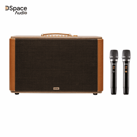 Loa Karaoke Kadma KS350