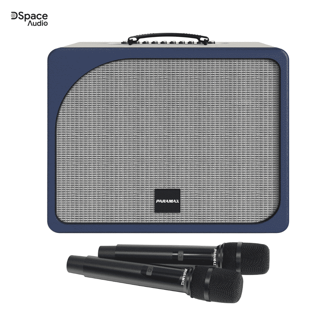 Loa karaoke PARAMAX Evox - Ảnh 12